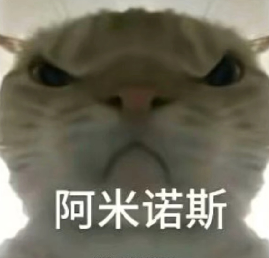 如果你需要
