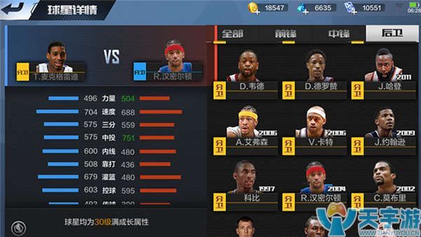 迷以及队友 迷以及队友