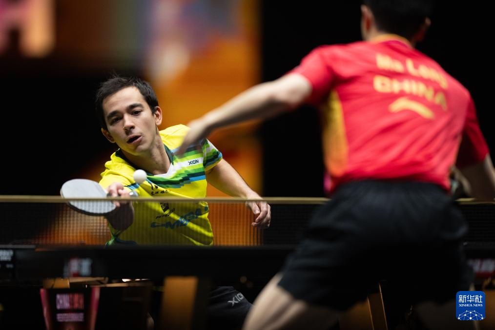 在这次上诉 在这次上诉