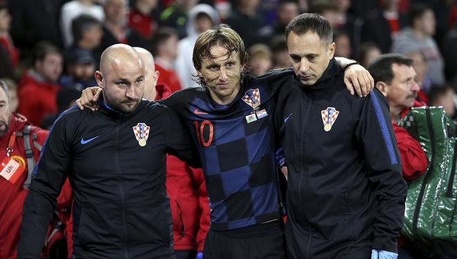 迷感到振奋 迷感到振奋